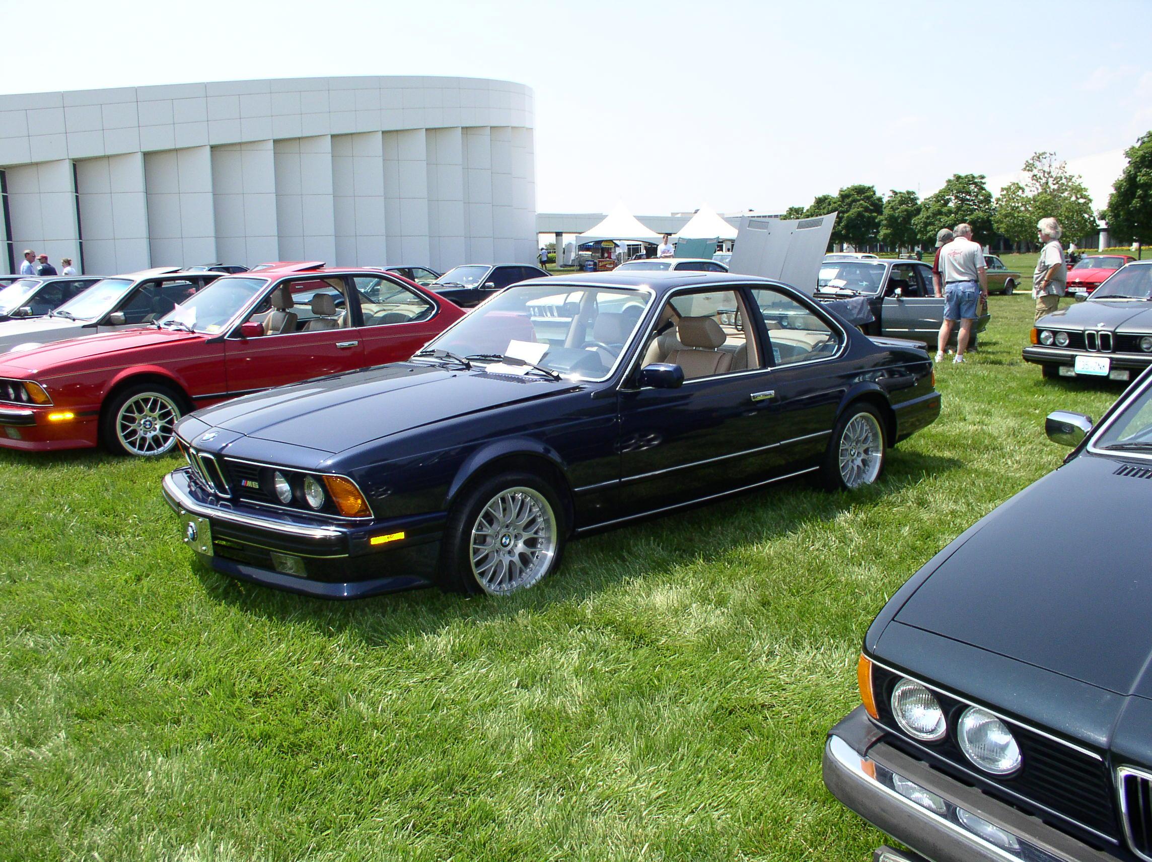 Bmw shark fest #6
